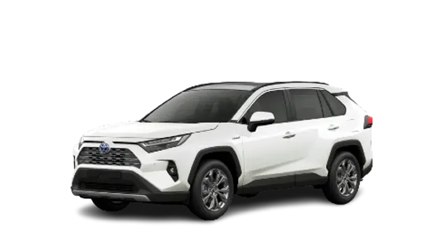 Toyota RAV4 | Grand Brasil